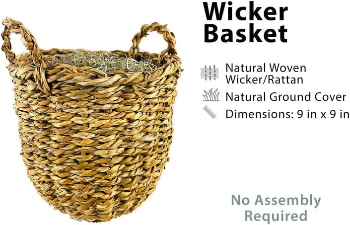 24 Inch Boston Fern in Woven Basket Artificial Plant