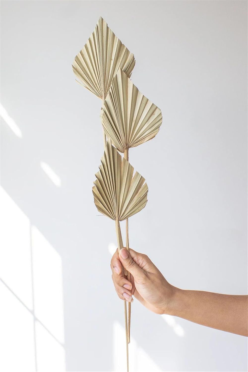 Comtelek Dried Palm Leaves 10pcs Boho Decor
