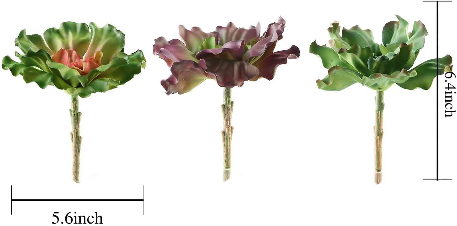 3 pcs 6 Inch Tall Assorted Echeveria Artificial Plants