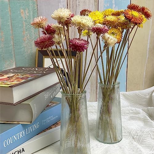 LBREVOGA Dried Flower Bouquets Yellow Champagne 16 Pcs