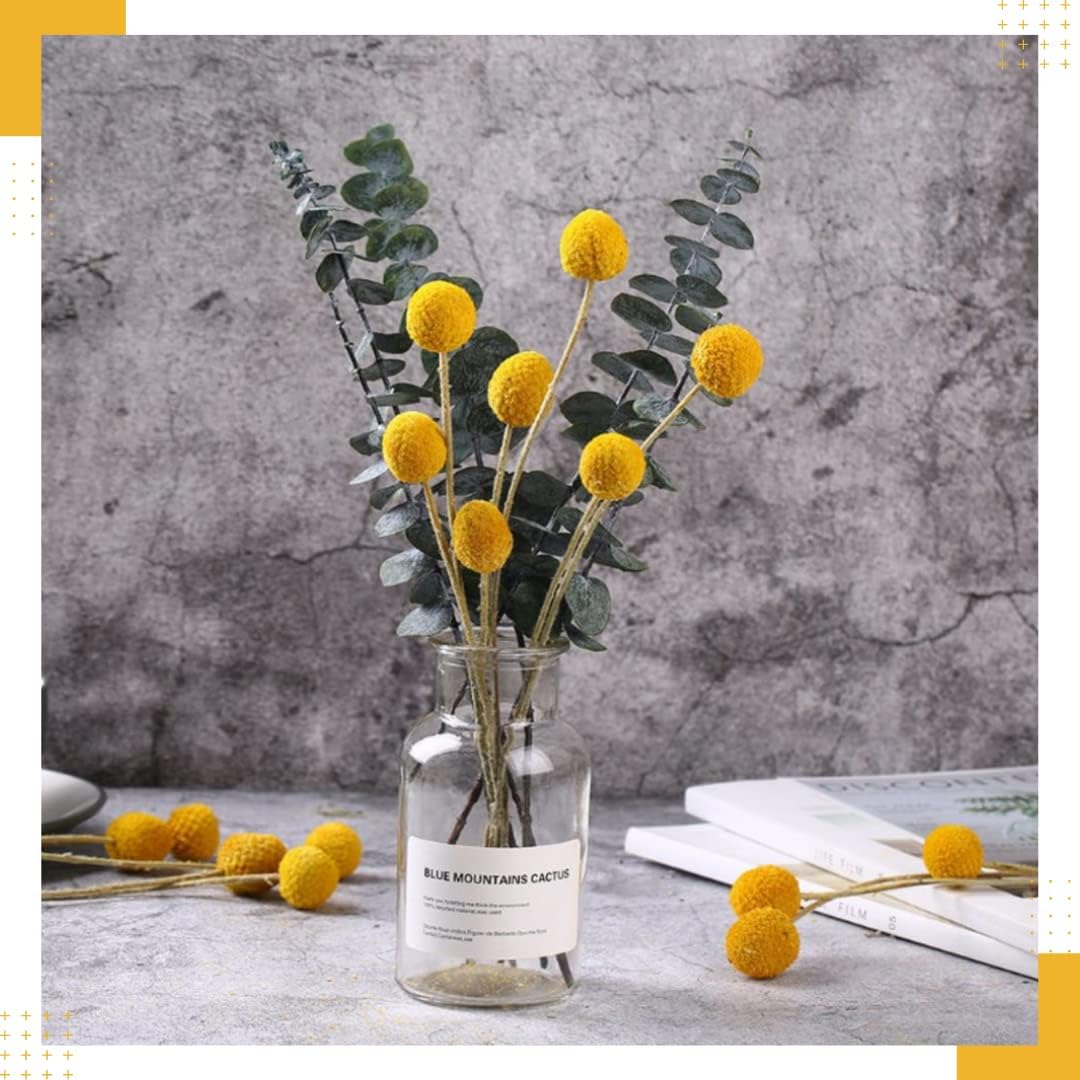 30 Pcs Natural Dried Billy Balls Flowers for Home Decor and Wedding