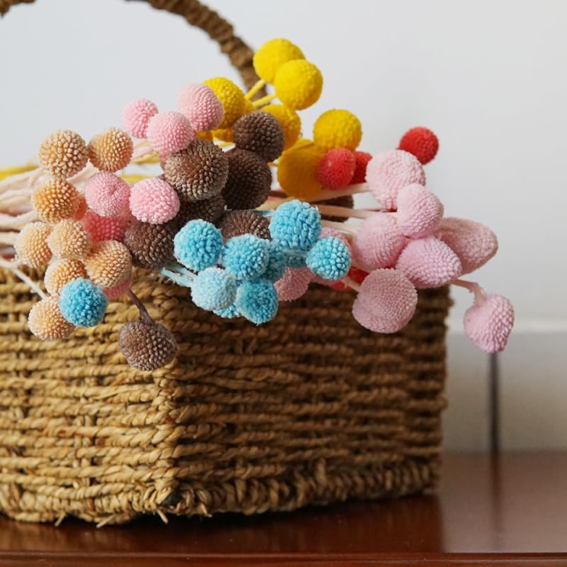 20Pcs Craspedia Billy Balls Dried Preserved Flowers for Home Wedding Decor