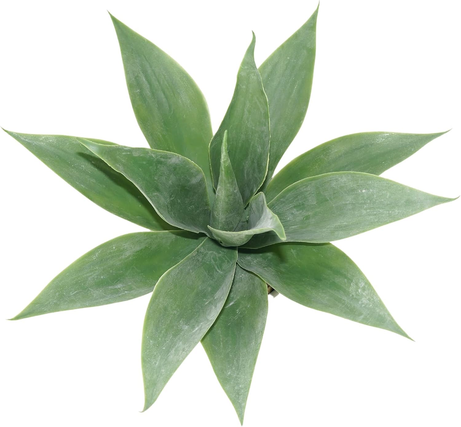 Hisow Artificial Aloe Plant 138 Inch Potted Succulent