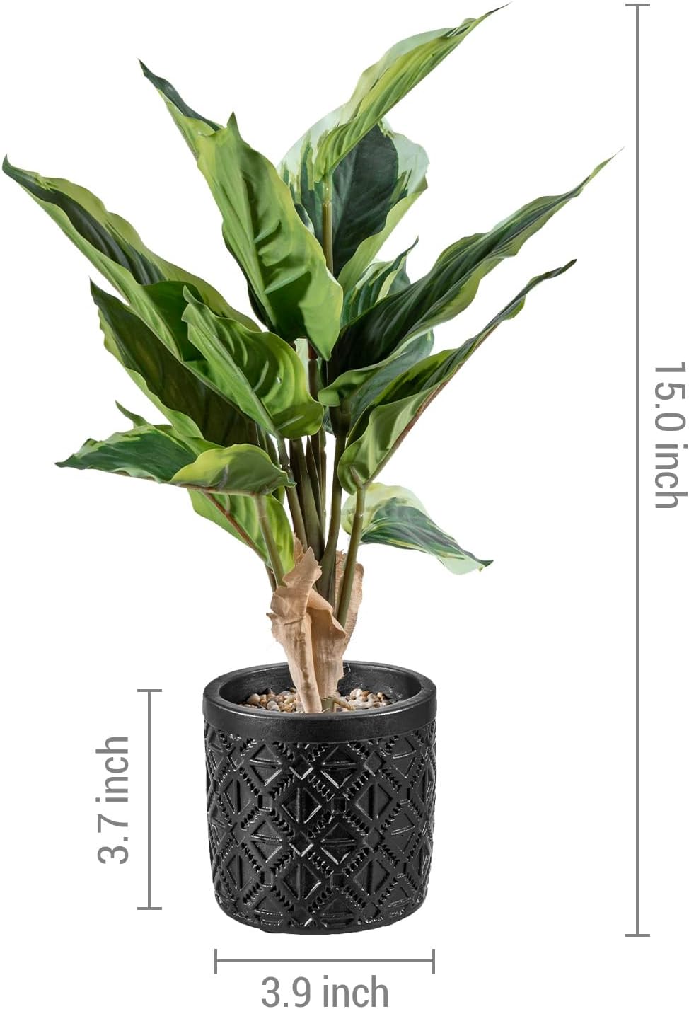 MyGift Artificial Dieffenbachia Plant in Black Concrete Pot with Geometric Design