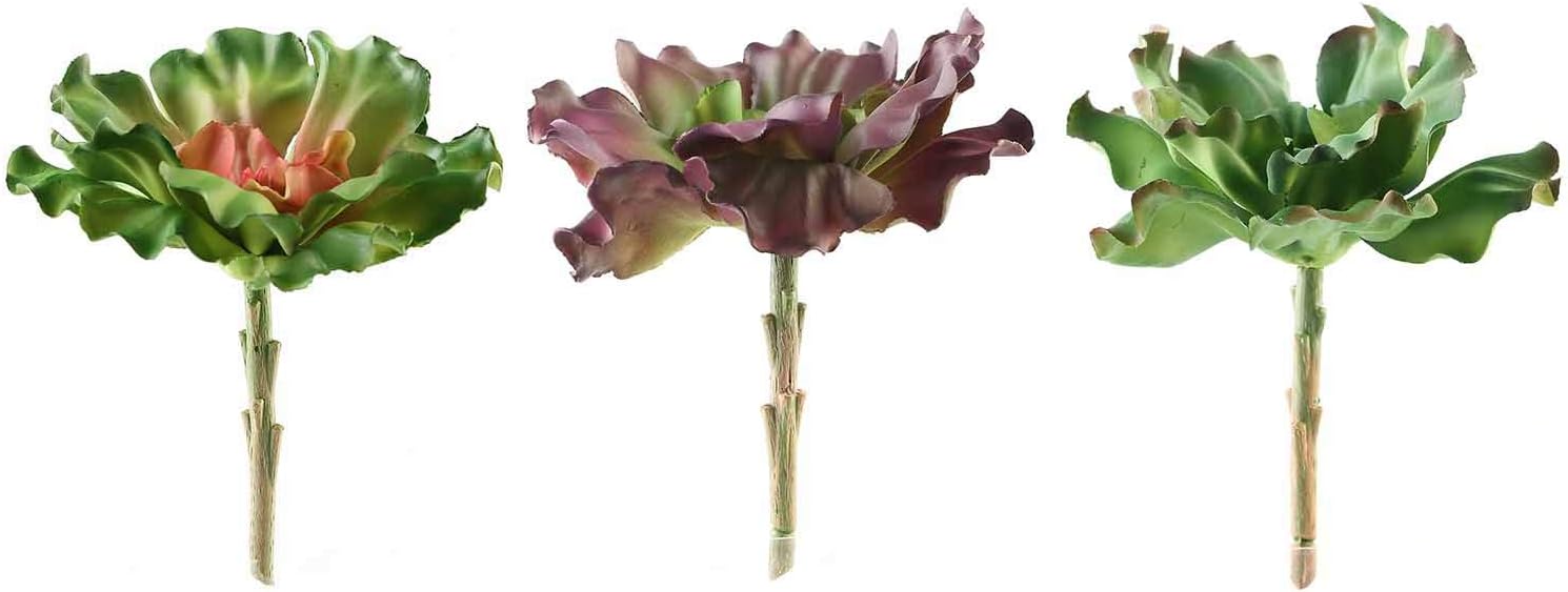 3 pcs 6 Inch Tall Assorted Echeveria Artificial Plants