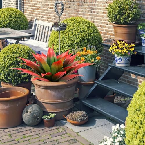 Giegxin 2 Pack 18 Inch Artificial Agave Plants Red UV Resistant Fake Succulent for Indoor Outdoor Home Office Decor