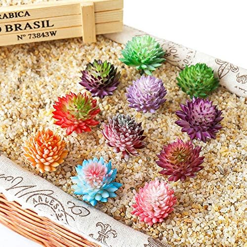 Cayway 21PCS Multicolor Plastic Succulent Plants 3 Styles Indoor Outdoor Decor