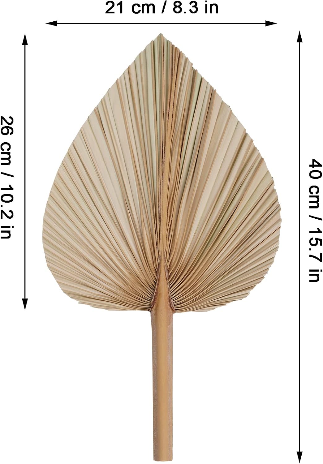 Rbenxia 4 Piece Dried Palm Leaves Heart Shaped Boho Fans for Holidays Weddings Parties and Baby Showers