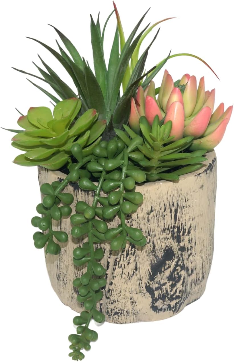 Hisow Artificial Succulent Plants in Ceramic Pots Assorted Decor