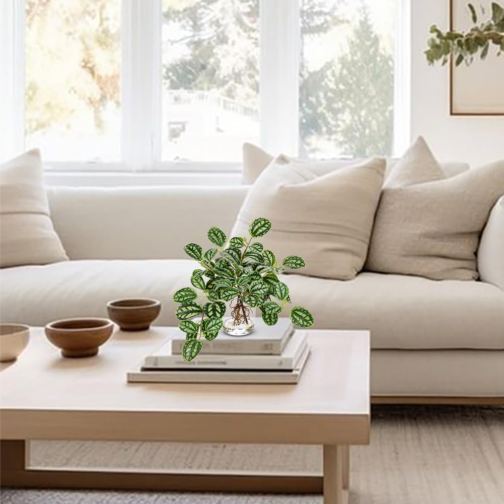 Artificial Watermelon Peperomia Stems in Glass Vase