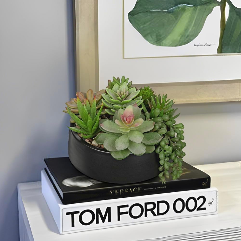 DILATATA Artificial Succulent Plants in Black Ceramic Pot