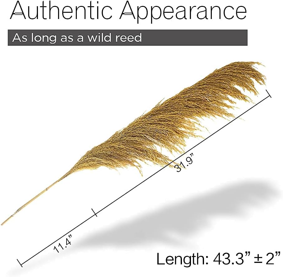 Gold Yellow Pampas Grass 4Pcs Rustic Decor for Living Room