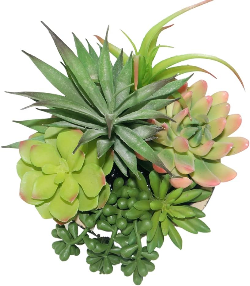 Hisow Artificial Succulent Plants in Ceramic Pots Assorted Decor
