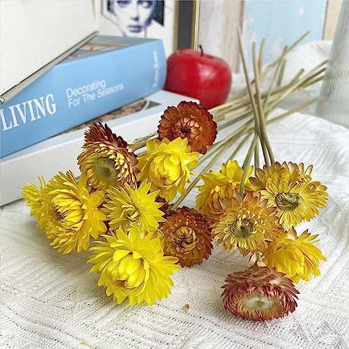 LBREVOGA Dried Flower Bouquets Yellow Champagne 16 Pcs