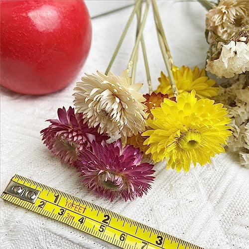 LBREVOGA Dried Flower Bouquets Yellow Champagne 16 Pcs