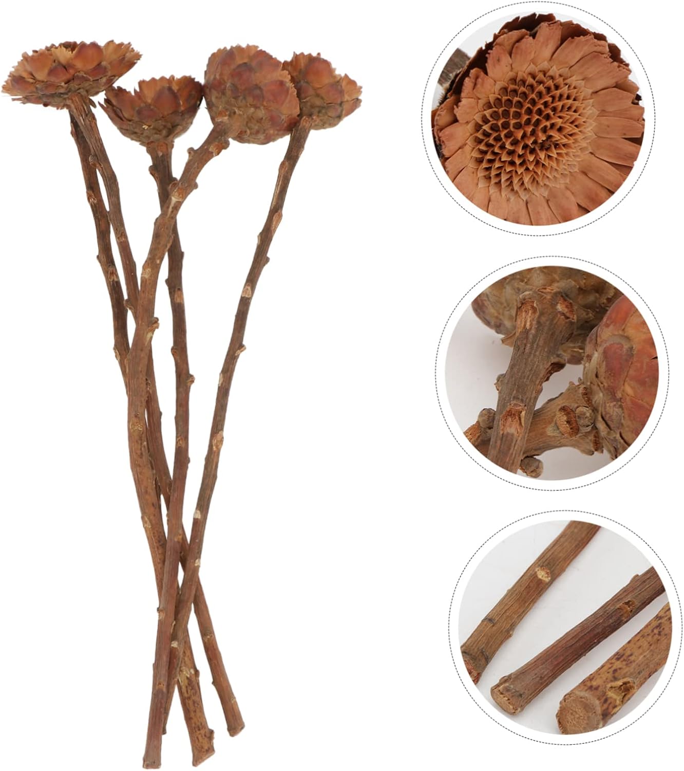 Amosfun 5Pcs Dried Sunflower Artificial Flowers for Decor