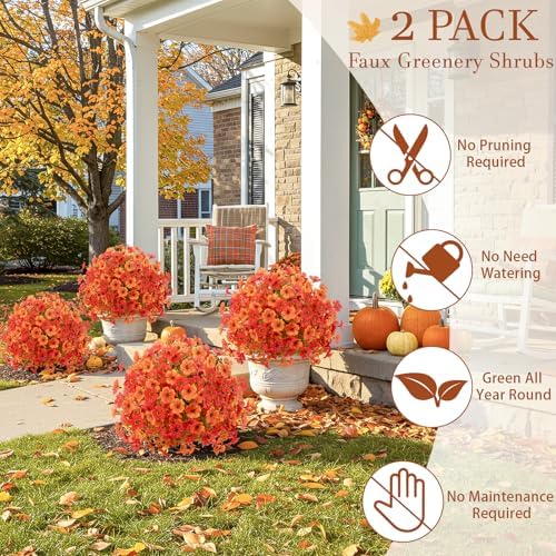 2 Pack Artificial Boxwood Trees with Fall Mums Flowers