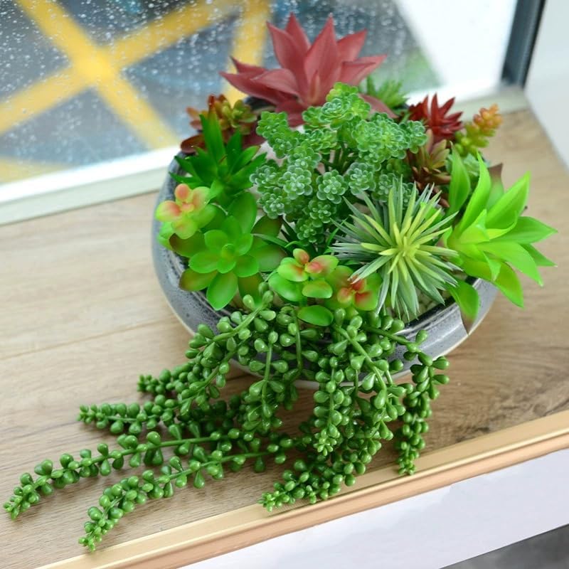 24 Piece Multicolour Artificial Succulent Set