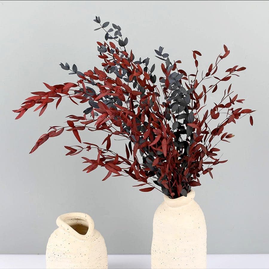 Tavkite Dried Eucalyptus Garland Stems 4 Oz Bundle 1