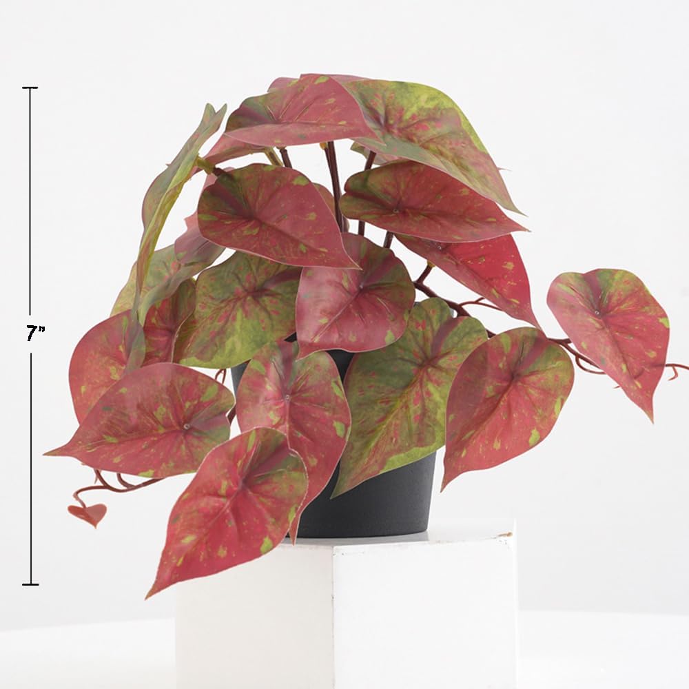 Doment Artificial Red Caladium Plants Indoor 7 Inches Potted Decor