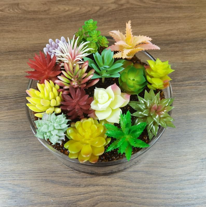24 Piece Multicolour Artificial Succulent Set