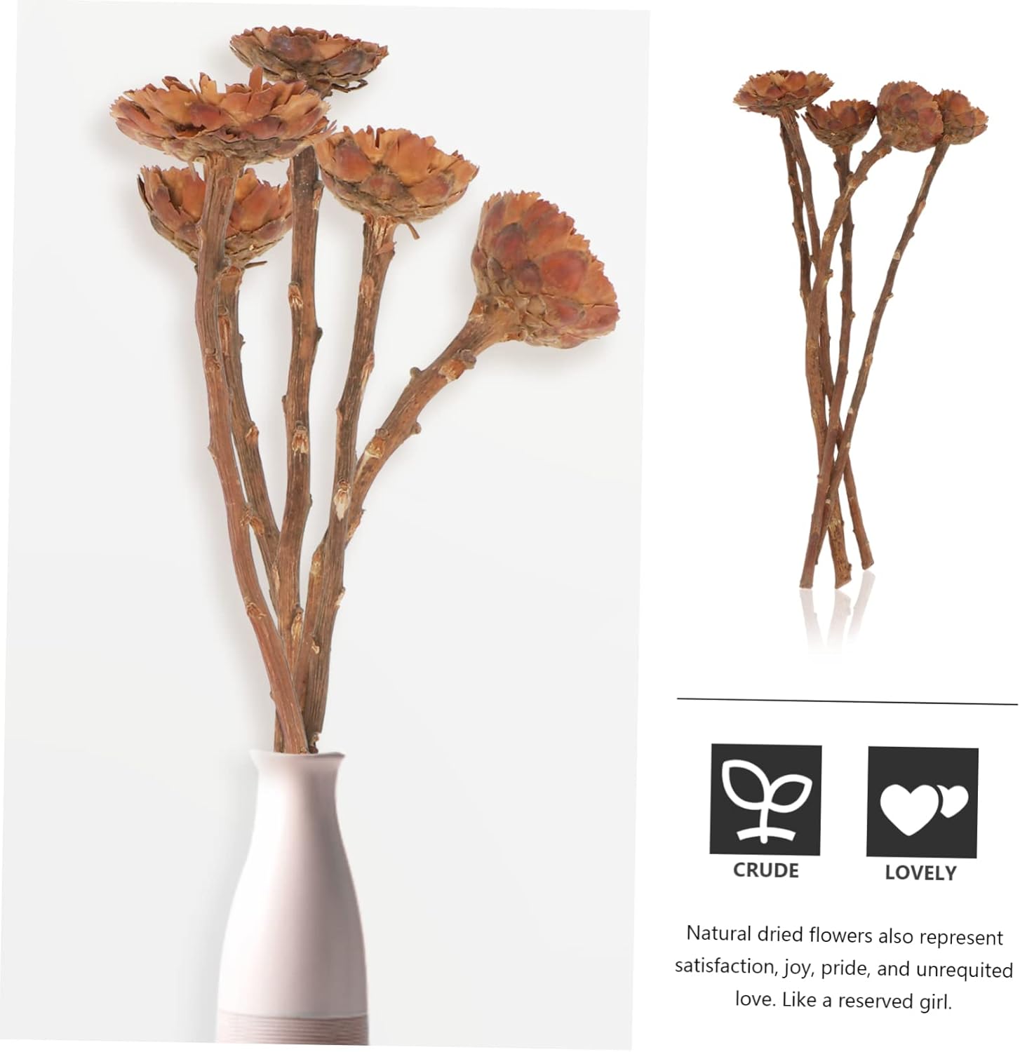 Amosfun 5Pcs Dried Sunflower Artificial Flowers for Decor