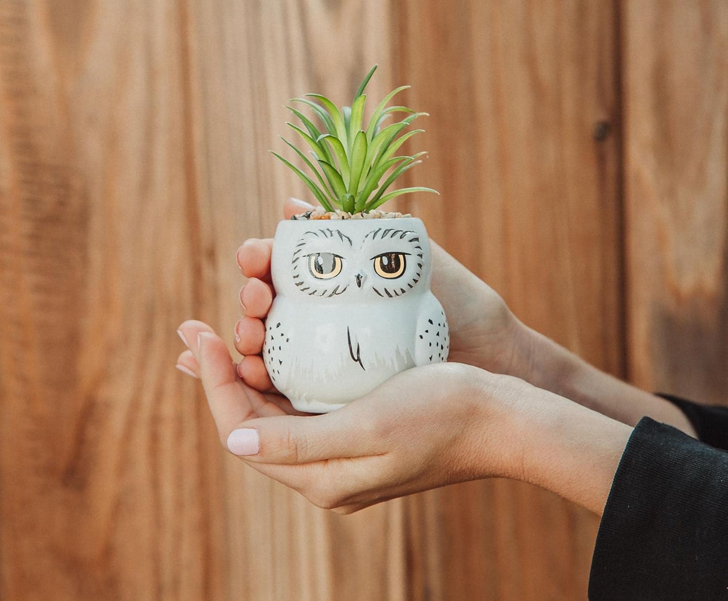 Harry Potter Hedwig 3-inch Ceramic Mini Planter with Artificial Succulent