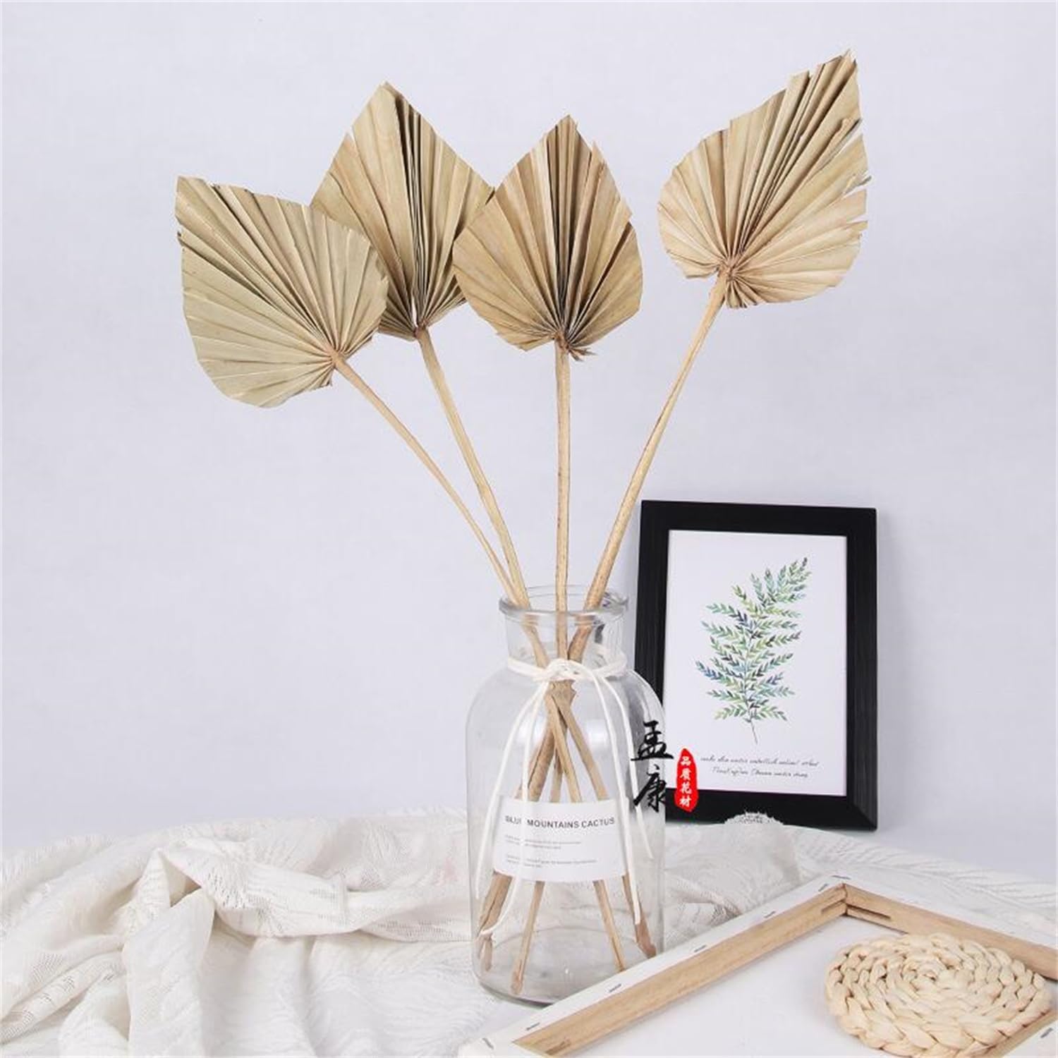 Comtelek Dried Palm Leaves 10pcs Boho Decor