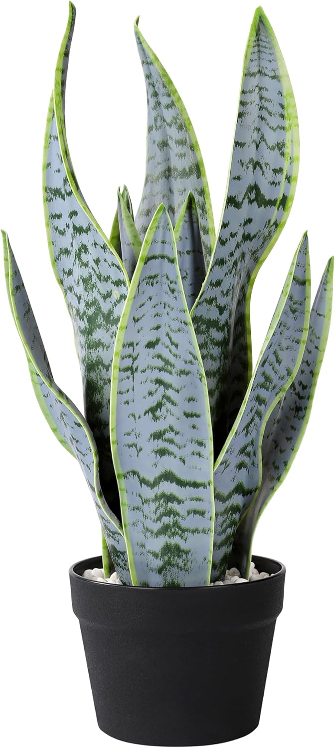 225 Inch Artificial Snake Plant in Black Pot