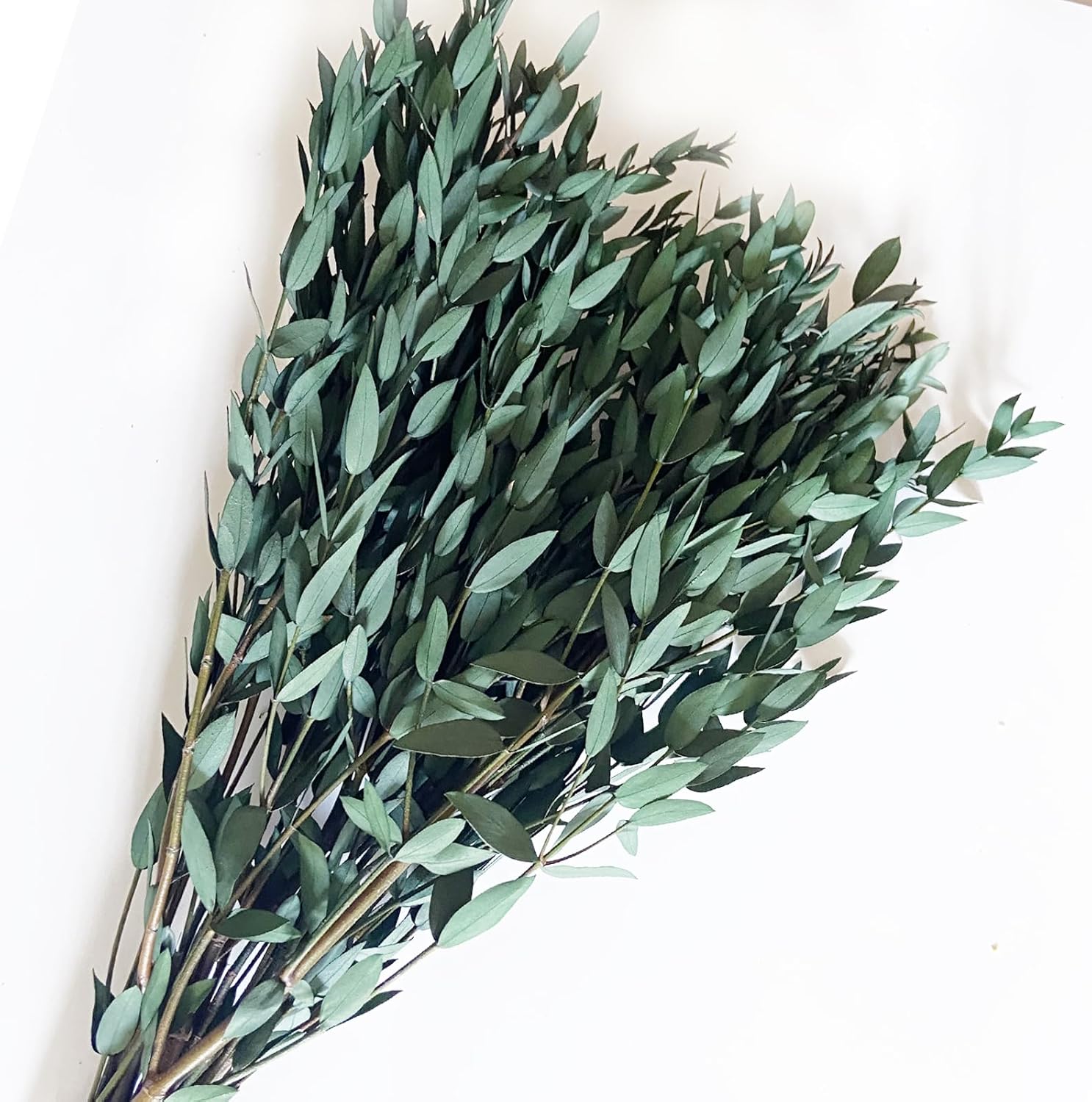 Preserved Dried Eucalyptus Greenery Stems 20 Pcs 16 Inches for Decor and Aromatherapy
