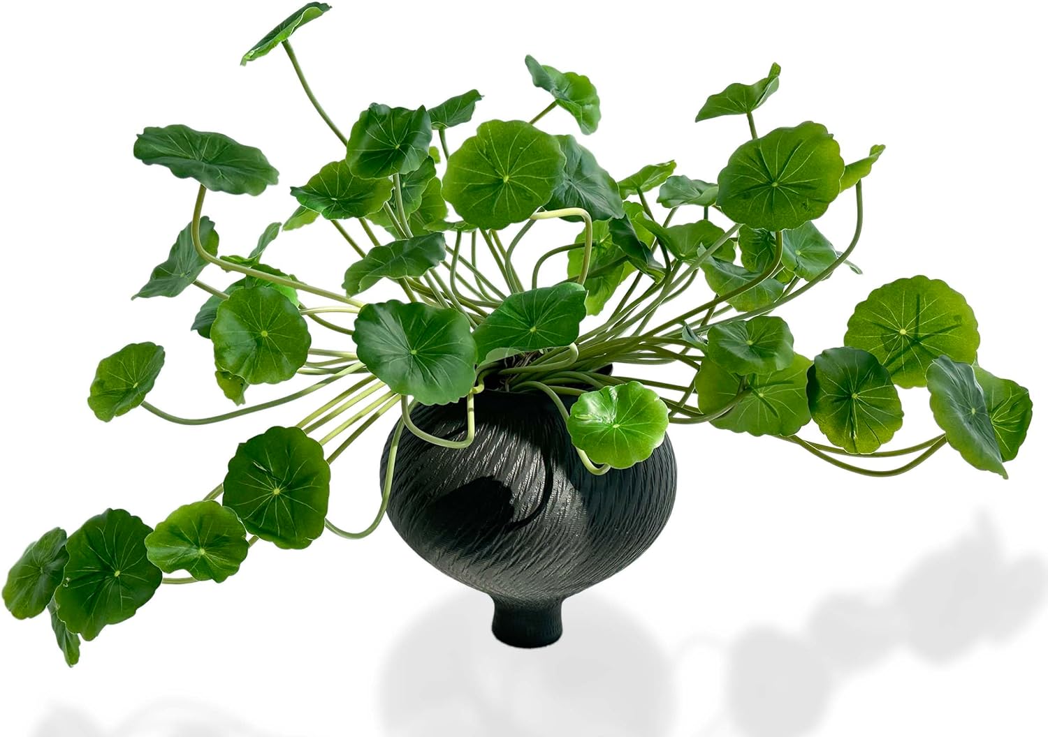 3pcs Small Fake Lotus Plants with Roots and Leaves for Home Office Table Decor