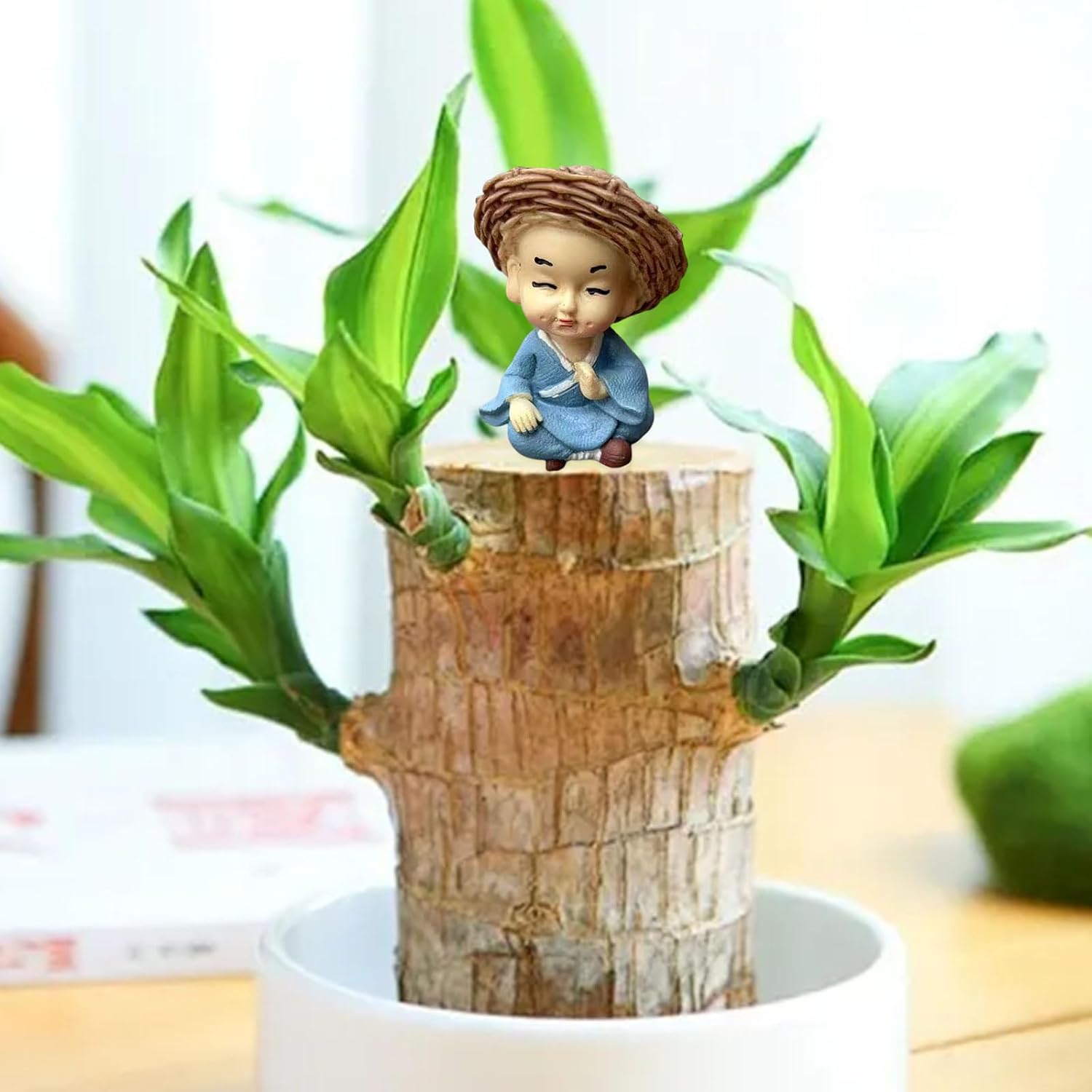 Brazilian Wood Potted Plant Decoration 4pc Set