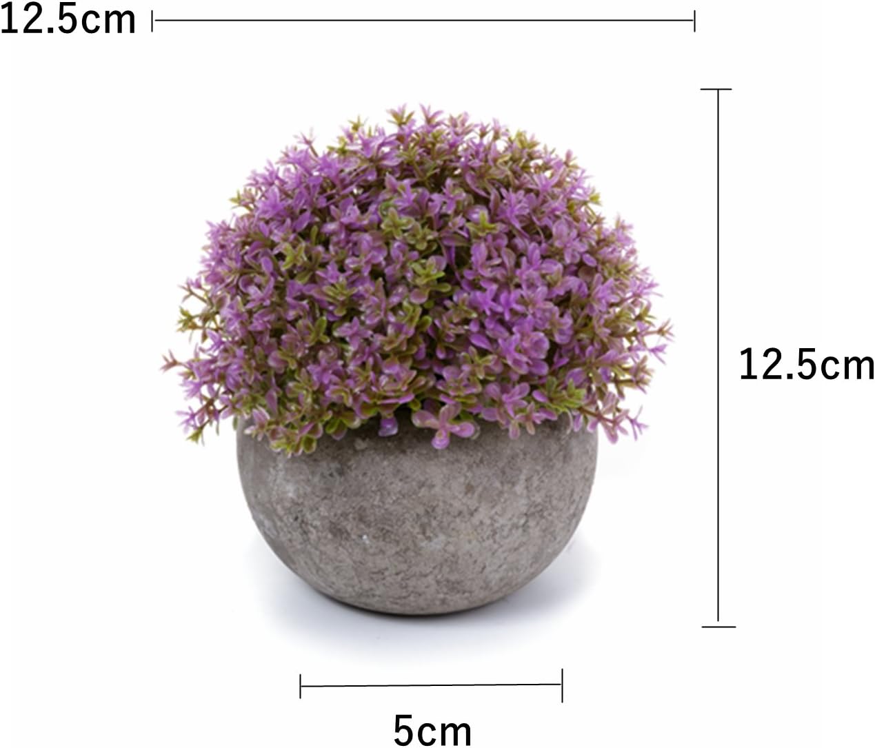T4U Artificial Succulent Plants in Pots Set of 6