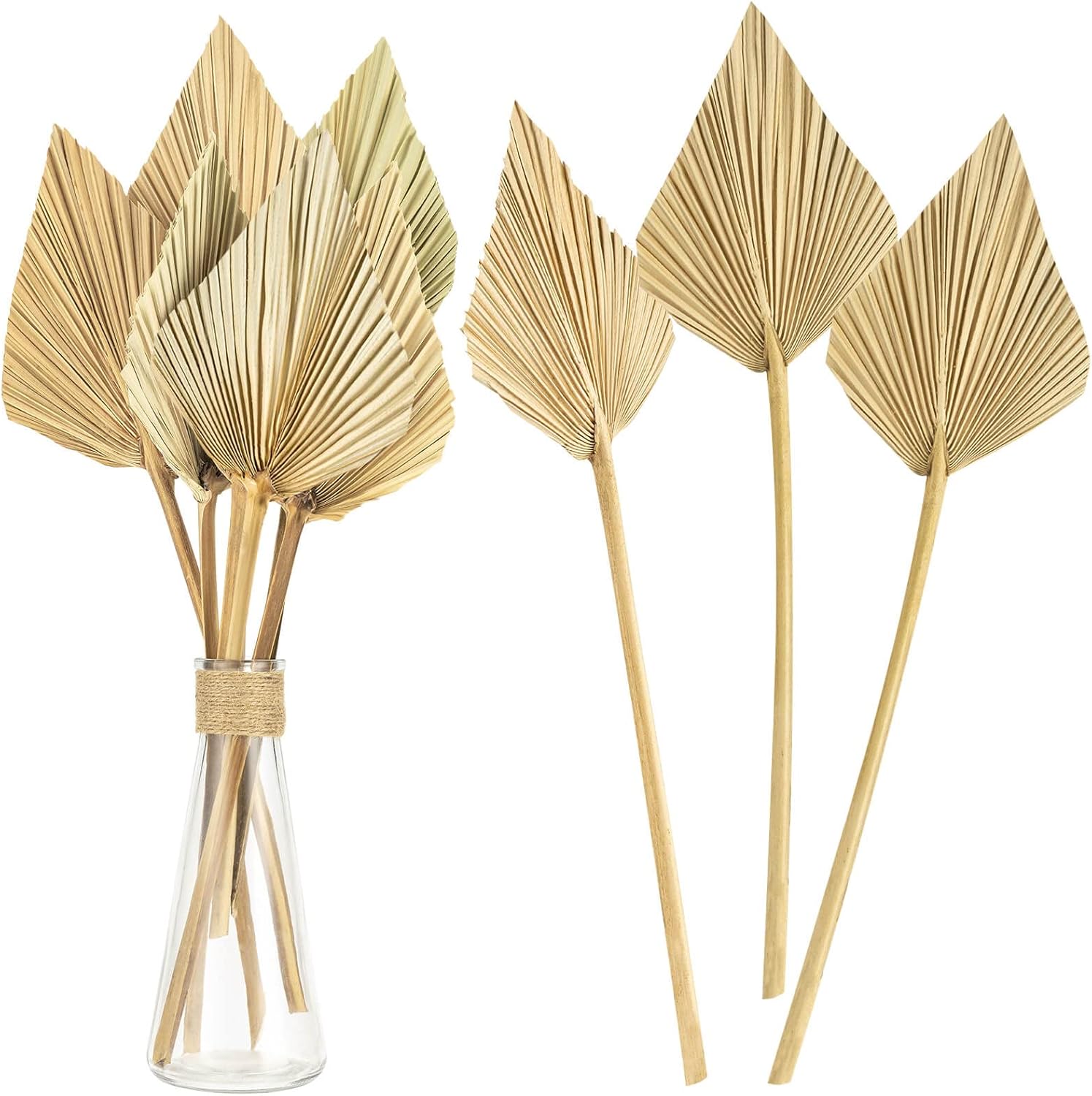 CLESDF Boho Palm Spears and Fans 16 Inch 6pcs