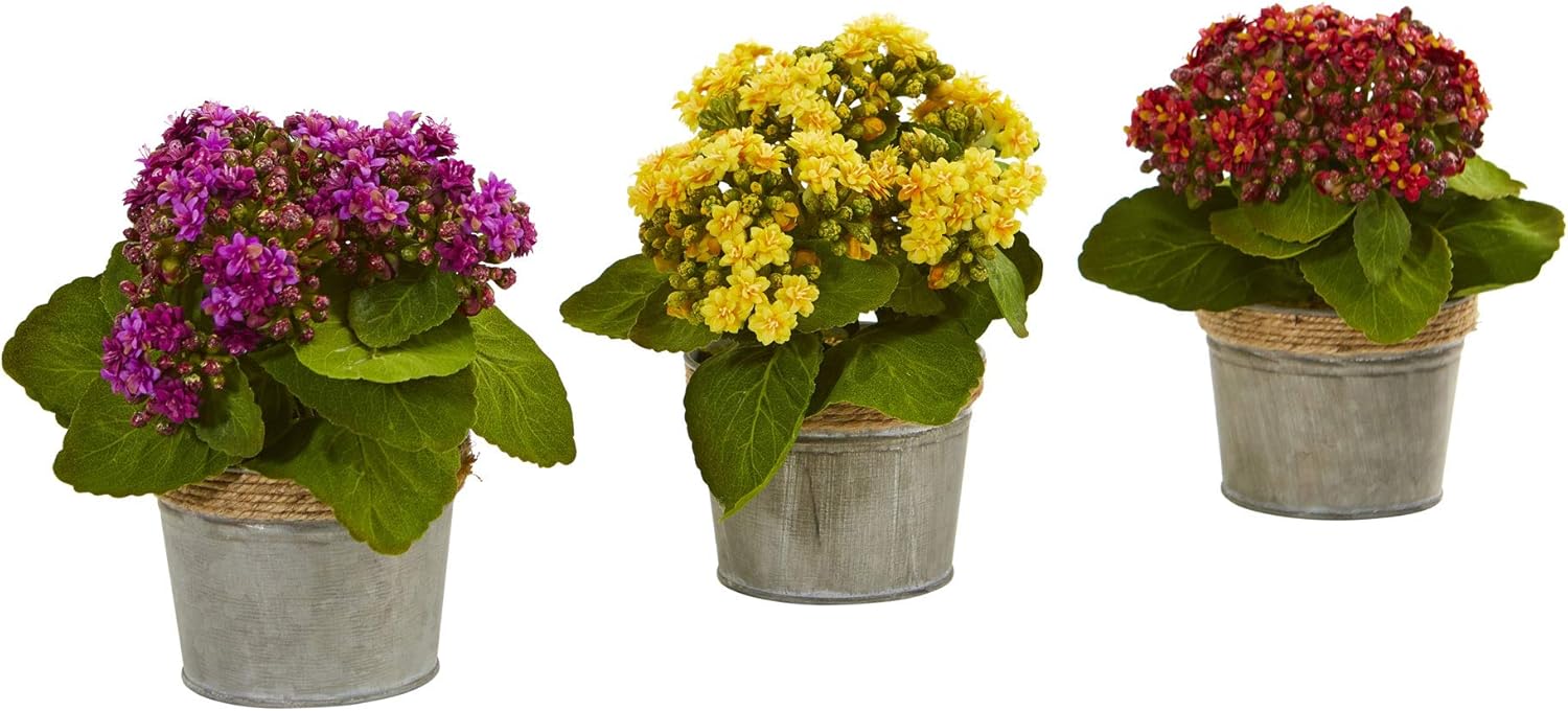 Nearly Natural Kalanchoe Artificial Arrangements Set of 3