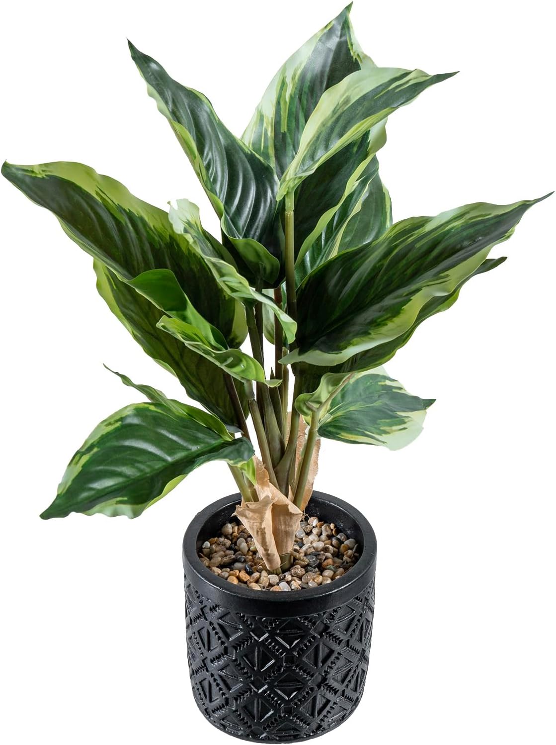 MyGift Artificial Dieffenbachia Plant in Black Concrete Pot with Geometric Design