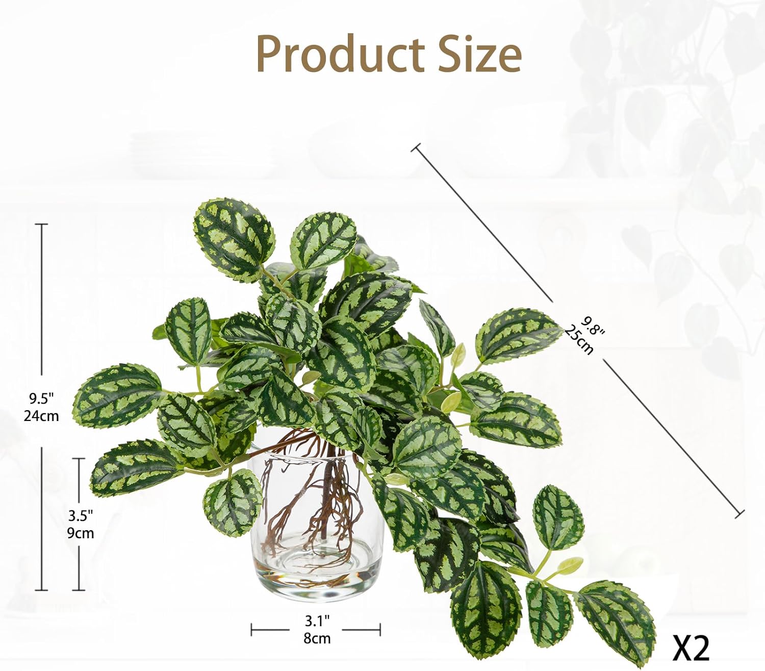 Artificial Watermelon Peperomia Stems in Glass Vase