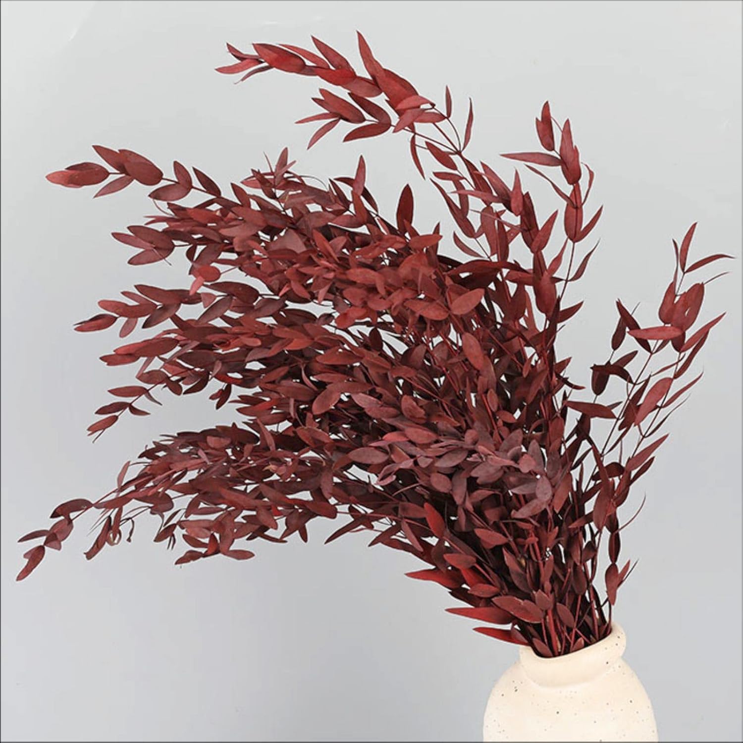 Tavkite Dried Eucalyptus Garland Stems 4 Oz Bundle 1