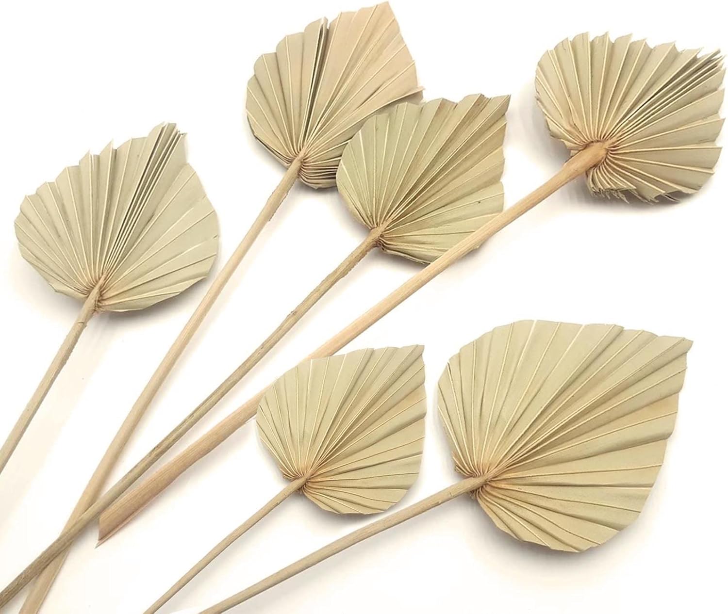 Boho Dried Palm Leaves 6 Pcs Natural Palm Plant Spears for Home Office Decor