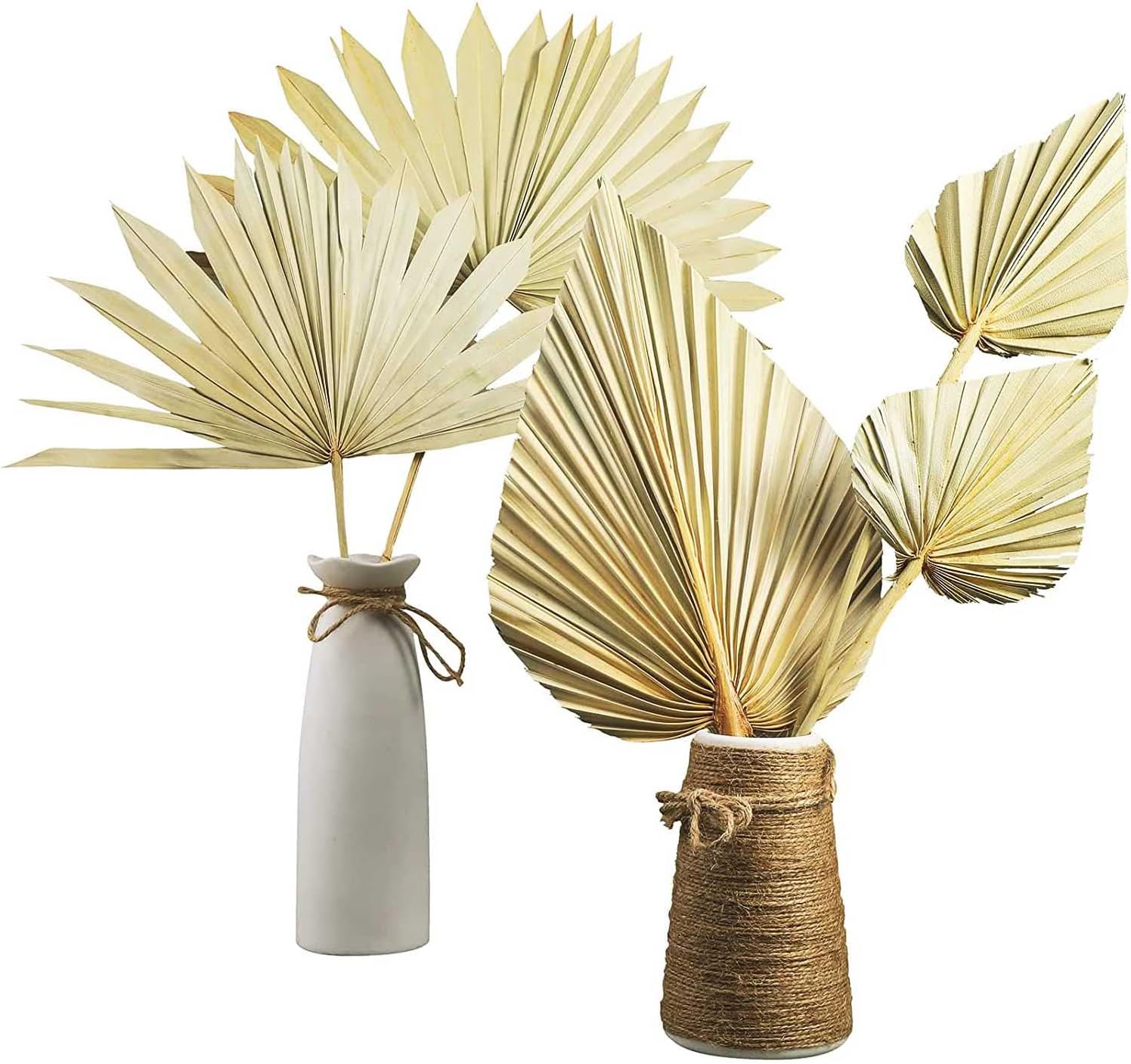 Boho Dried Palm Leaves 6 Pcs Natural Palm Plant Spears for Home Office Decor