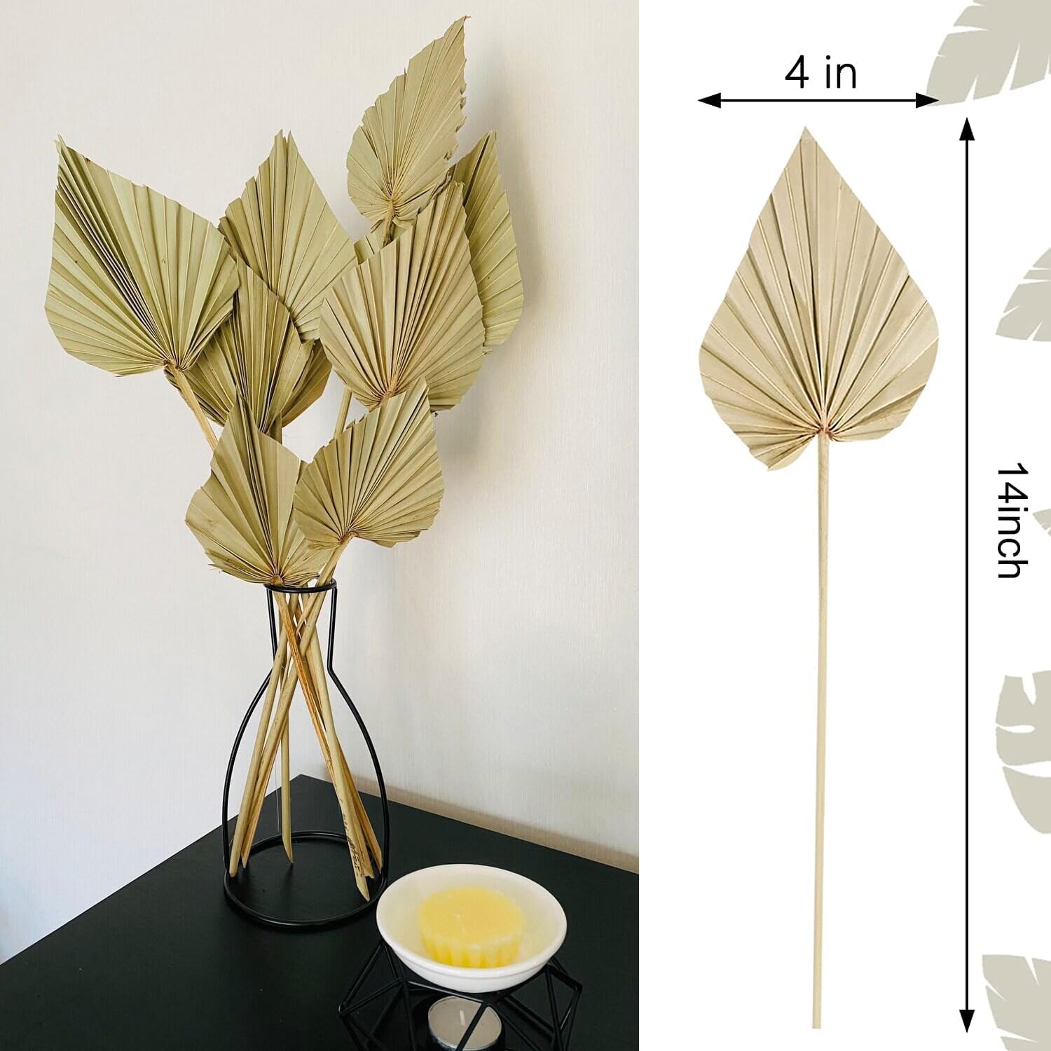 Comtelek Dried Palm Leaves 10pcs Boho Decor