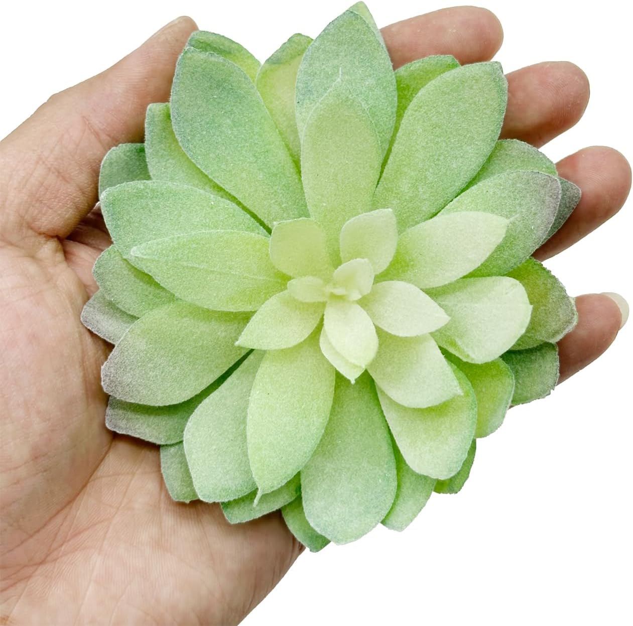 Woohome 8 Piece Fake Succulent Set for Decor