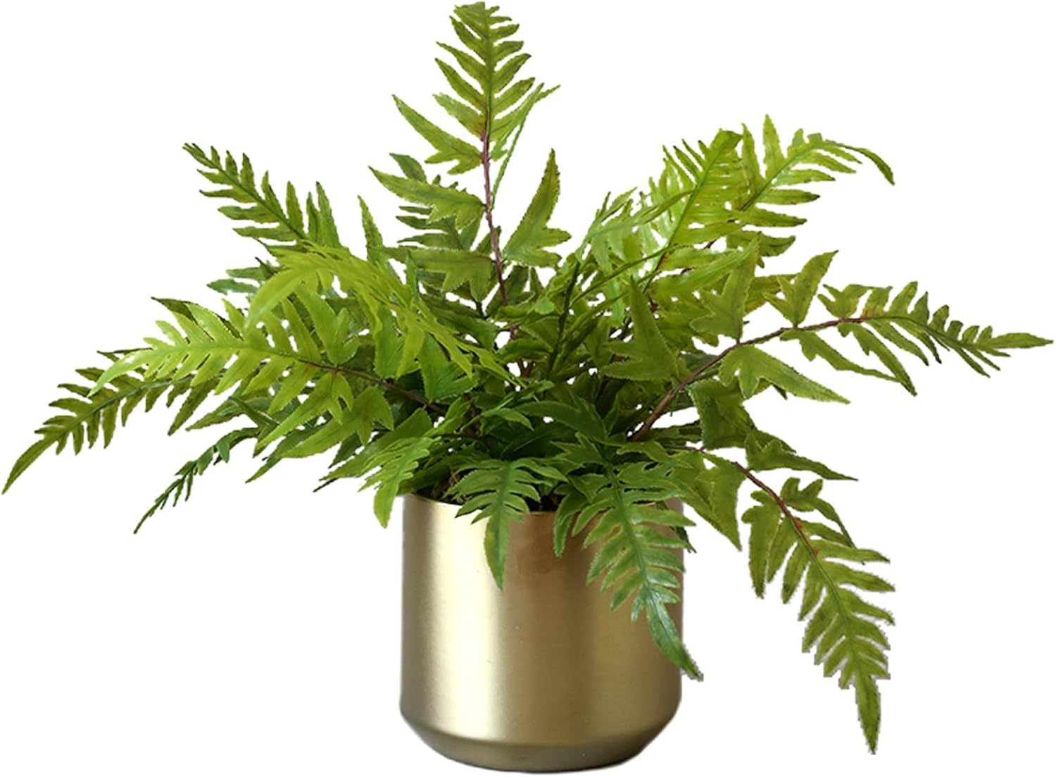 Fake Plants Mini Artificial Potted Ferns in Golden Pots for Home Decor