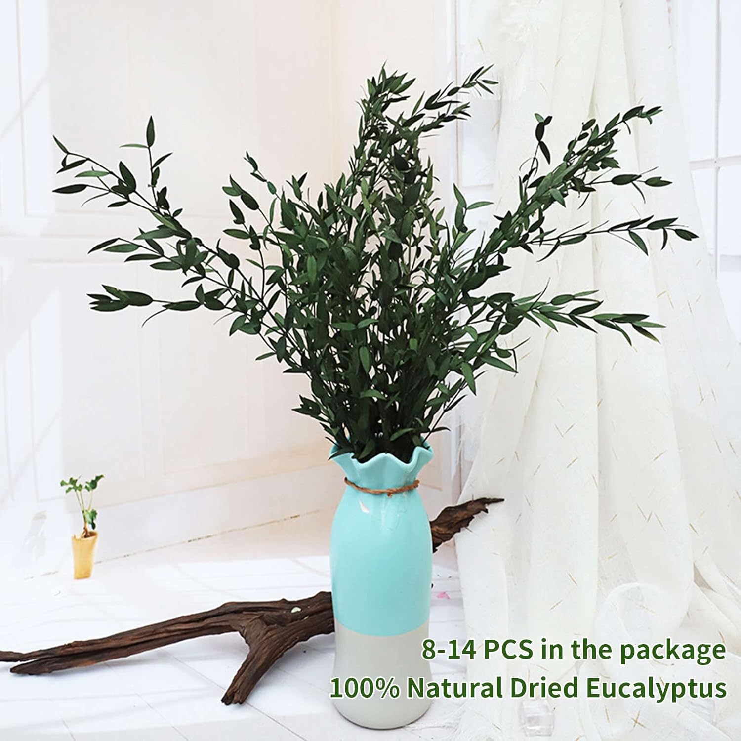 Tavkite Dried Eucalyptus Garland Stems 4 Oz Bundle