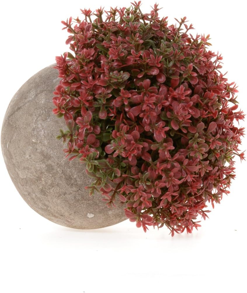 T4U Artificial Succulent Plants in Pots Set of 6