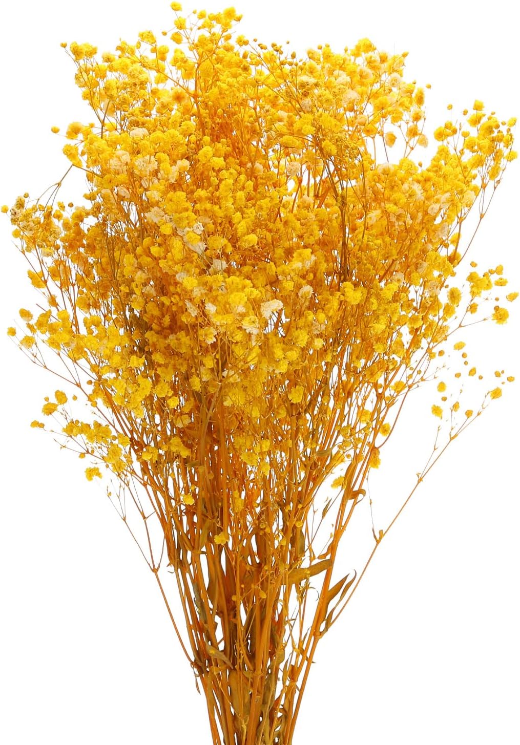 MECCANIXITY Dried Yellow Babys Breath Flowers 17 Inch Branches for Wedding Home Decor