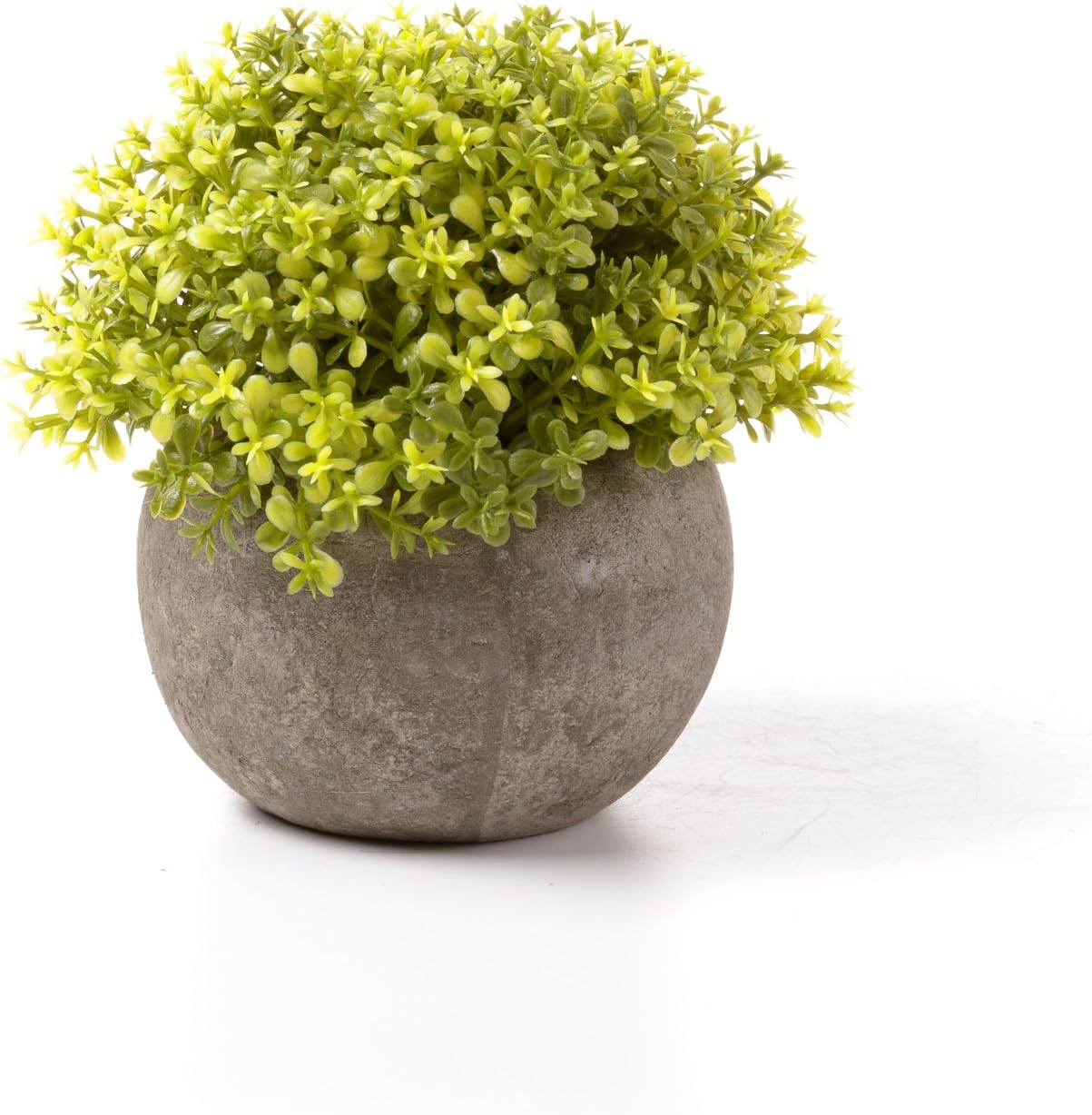T4U Artificial Succulent Plants in Pots Set of 6