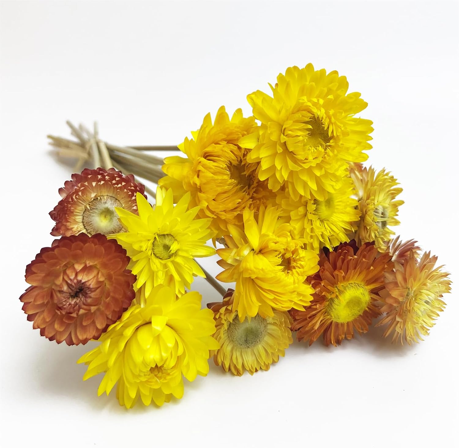 LBREVOGA Dried Flower Bouquets Yellow Champagne 16 Pcs