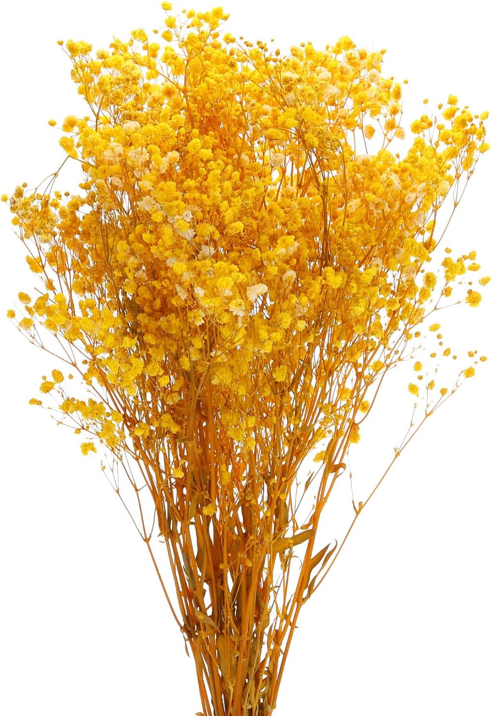 MECCANIXITY Dried Yellow Babys Breath Flowers 17 Inch Branches for Wedding Home Decor