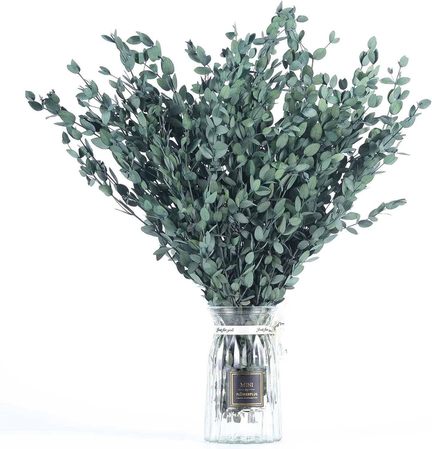 Tavkite Dried Eucalyptus Garland Stems 4 Oz Bundle
